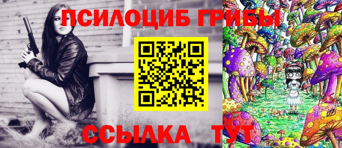 Россия  хочу   Псилоцибиновые грибы Cubensis  Вход с VPN  Галлюциногенные грибы Magic Shrooms 